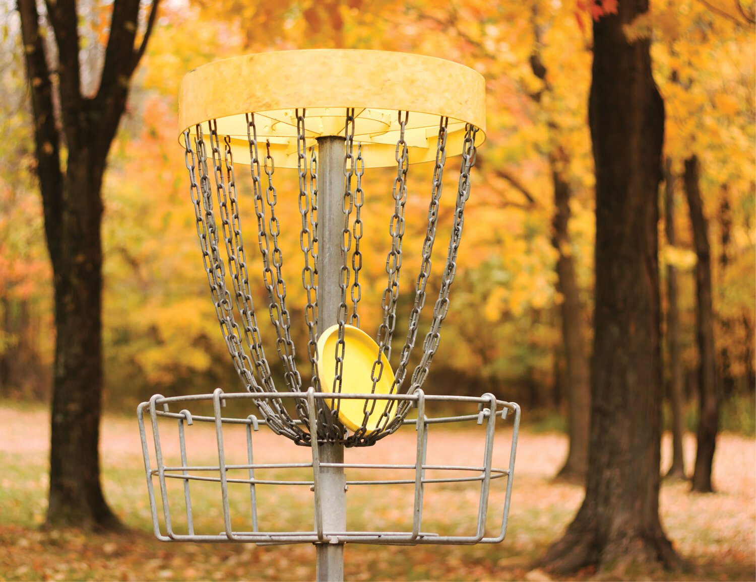Frisbee golf, more appropriately called disc golf, is one of the fastest-growing sports in the United States. A disc golf course at the recreational complex will draw players from the surrounding area.